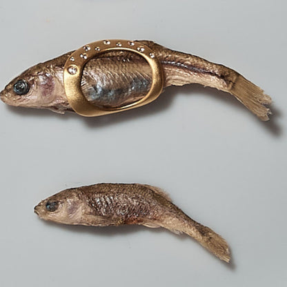 Grelda Ear Cuff With Scatter Bezel Diamond Detail Gold